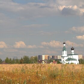 Пейзаж с полем и храмом в Новой Москве