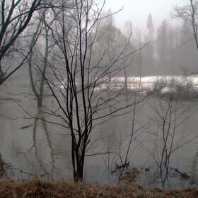 Утренний туман над разлившейся рекой