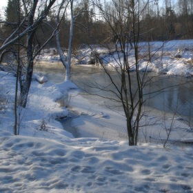 Морозный день на берегу лесной речки