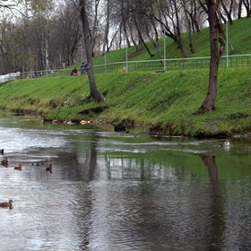 Река Десна в парке