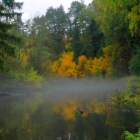 Осенний туман над рекой